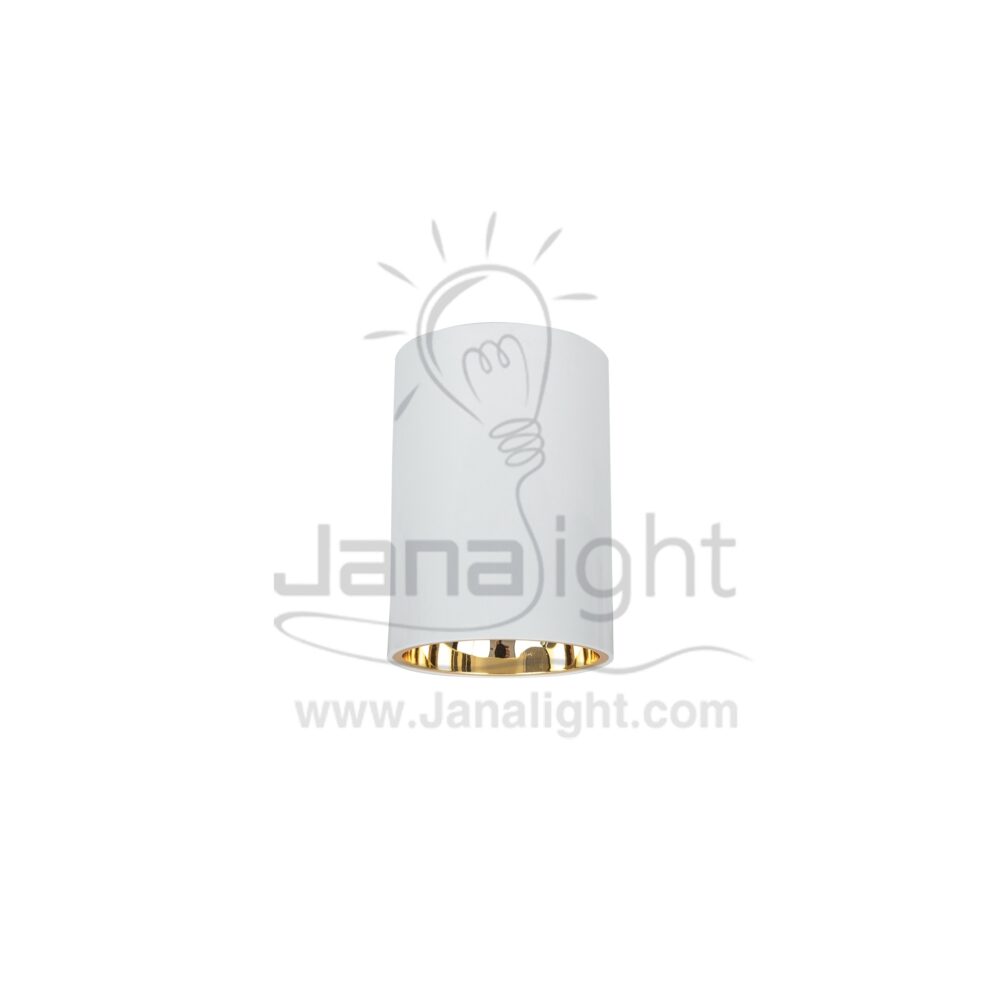 فريم سبوت سلندر فارغ مدور ابيض قلب cylinder downlight frame plastic white-gold